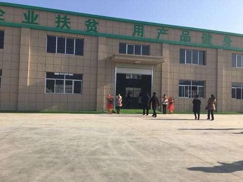 陕西石泉珍爱农产品加工厂项目正式竣工蚕桑产业发展迎新机遇